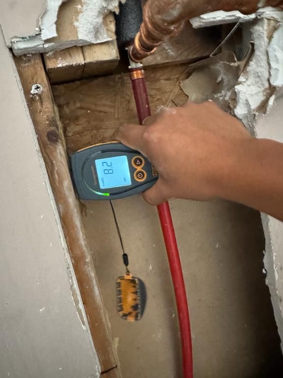 Technician checking moisture levels with a moisture meter in Myrtle Beach, SC