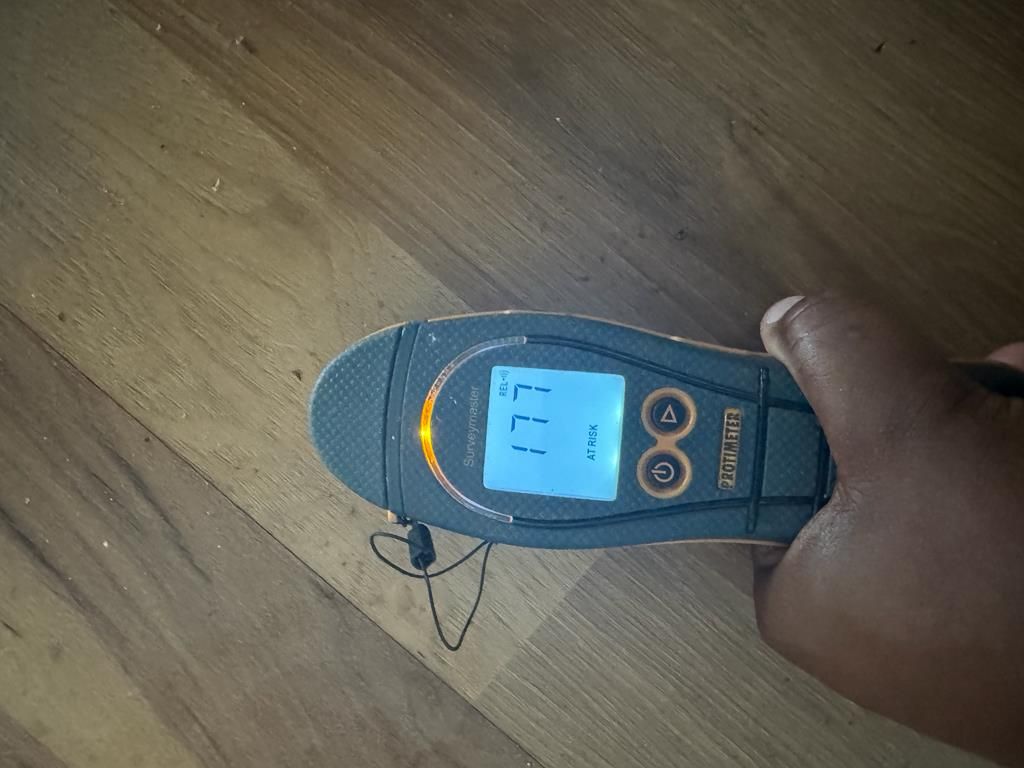 Technician checking moisture levels with a moisture meter in Pawleys Island, SC
