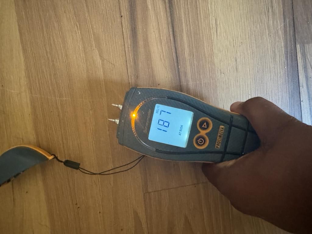 Technician checking moisture levels with a moisture meter in Pawleys Island, SC
