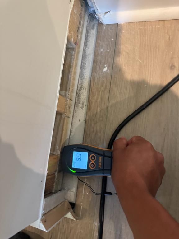 Technician checking moisture levels with a moisture meter in Sunset Beach, NC